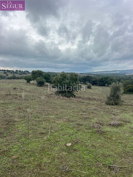 Foto 46cf318f-8e24-4a0b-8e93-cd800c18a9d6. Finca rústica a Vejer Vejer de la Frontera