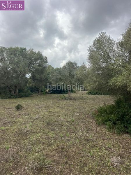 Foto 5a32a3c3-f9d0-459d-8a72-d096eeacb715. Finca rústica a Vejer Vejer de la Frontera