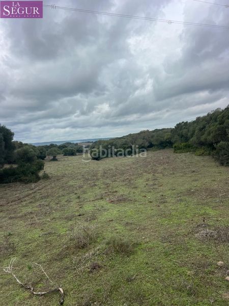 Foto a060db24-0524-4093-824a-2f7fd548e1b1. Finca rústica a Vejer Vejer de la Frontera