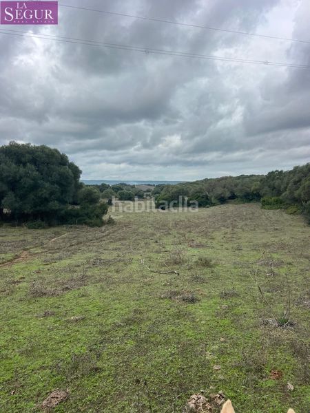 Foto cd0da7e8-24e5-4fbf-a10f-eb11583636c6. Finca rústica a Vejer Vejer de la Frontera