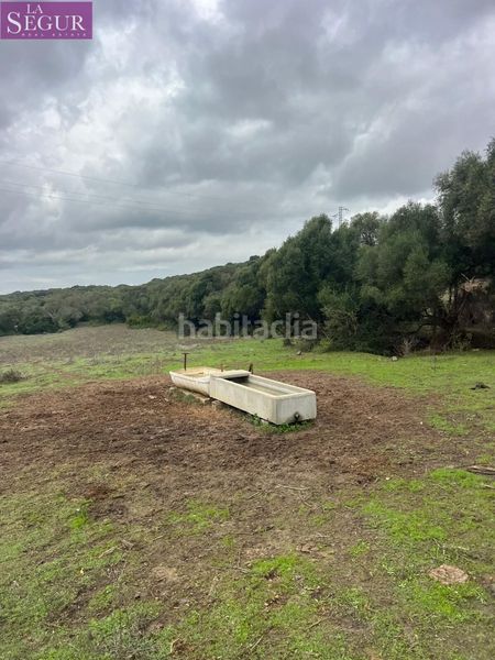 Foto d5f9f444-2f8d-43d7-9686-fda32a95c72f. Finca rústica a Vejer Vejer de la Frontera
