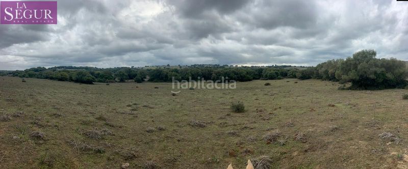 Foto e321d1e9-bcc2-46ba-867d-476462752095. Finca rústica a Vejer Vejer de la Frontera
