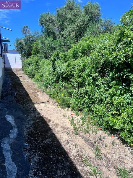 Foto 64eea0ad-ca28-43d0-9337-e560b39eabdc. Masia a La Muela Vejer de la Frontera