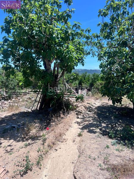 Foto 7afd2c54-8ed8-4b7b-8f84-fb359f58d0ff. Masia a La Muela Vejer de la Frontera