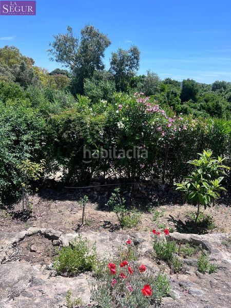 Foto a577c879-edb3-43d1-9a9d-23a4921cb107. Masia a La Muela Vejer de la Frontera