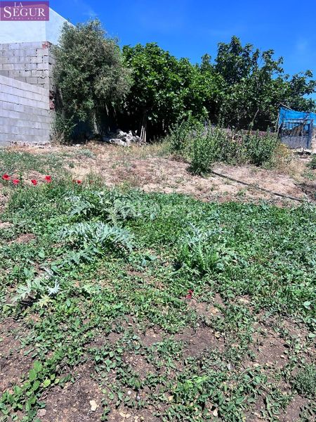 Foto aa4123bd-6631-4108-8567-1f2fdb3a1e37. Masia a La Muela Vejer de la Frontera