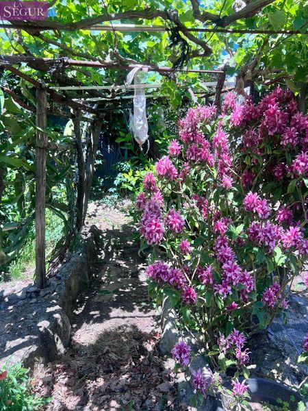 Foto d64acd91-ee1e-4368-b2de-585b90f4524e. Masia a La Muela Vejer de la Frontera