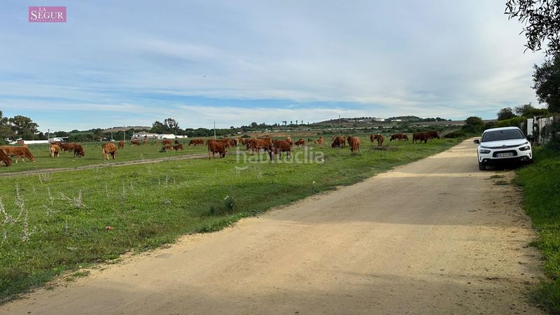 Foto 2581735e-a5b2-4156-9066-f1ed0d4c0268. Casa amb calefacció aparcament a El Palmar Vejer de la Frontera