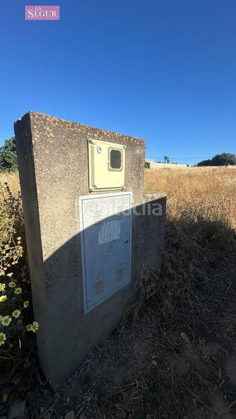 Foto 4ead92c5-4649-4b1e-b229-ec4fa2515254. Finca rústica a Conil Conil de la Frontera