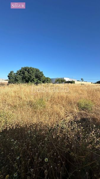 Foto e01e2994-1e20-45c2-9984-5bff74bd5f44. Finca rústica a Conil Conil de la Frontera