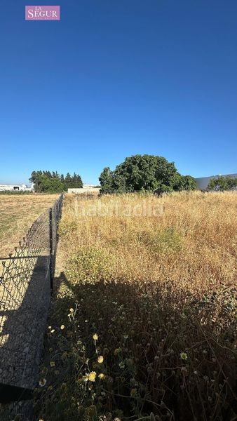 Foto f60015b8-f285-4483-a03a-b98c804576b3. Finca rústica a Conil Conil de la Frontera