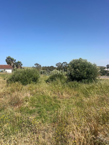 Foto f1835f81-b9c3-4485-a884-48601d2c8083. Finca rústica a Barbate Barbate