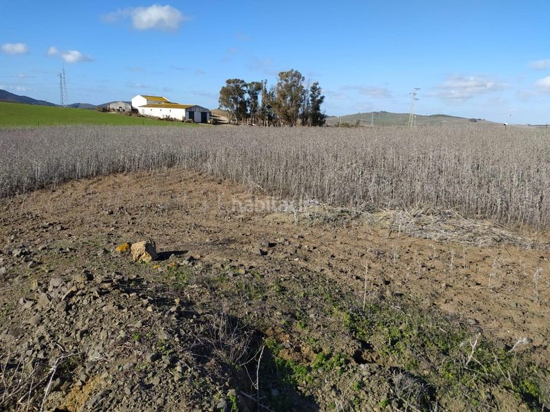 Foto 1434d588-0b5a-4d11-be29-e9cccc7d9fdb. Finca rústica a Medina Sidonia