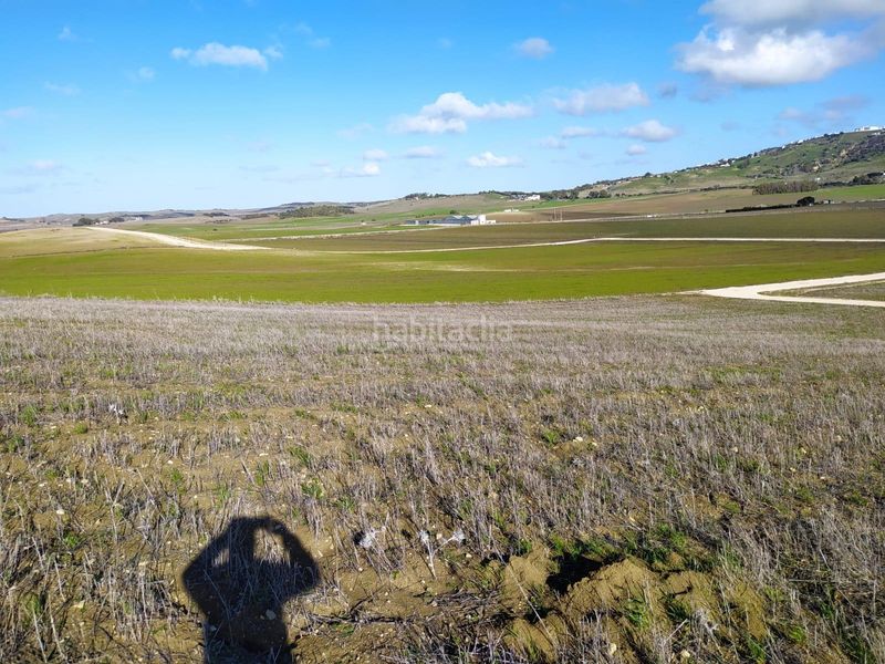 Foto 4658a743-da6a-41c3-b6bd-1a99ffafb5c8. Finca rústica a Medina Sidonia