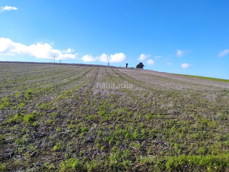 Foto b4ba0cd0-4823-41a6-ac47-511bc6b4bf02. Finca rústica a Medina Sidonia