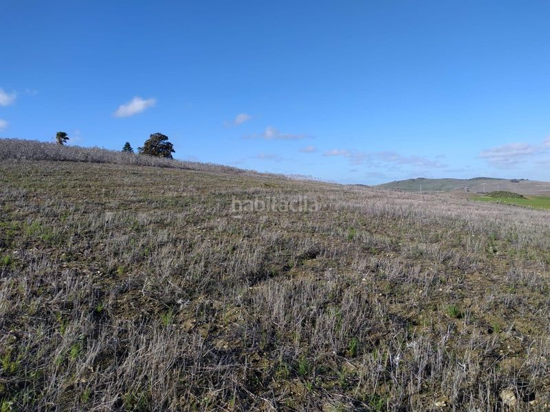 Foto c9bff3a3-5dd0-4971-9883-7165edf3b924. Finca rústica a Medina Sidonia