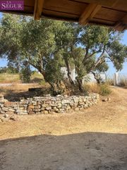Casa in Vejer. Magnifica casa con terreno rustico en abejaruco