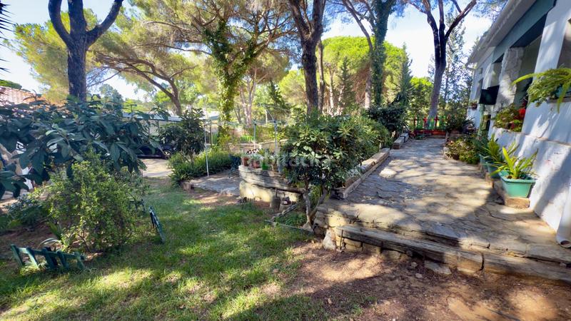 Foto 2ac61188-9ef1-4952-934e-b2f6c5f81cc6. Xalet a Los Franceses - La Vega Chiclana de la Frontera