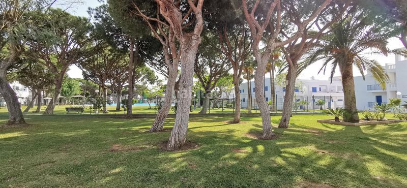 Foto f1e5706a-06b9-4eb3-b85a-93d86fee36a4. Apartament amb piscina a La Barrosa Chiclana de la Frontera
