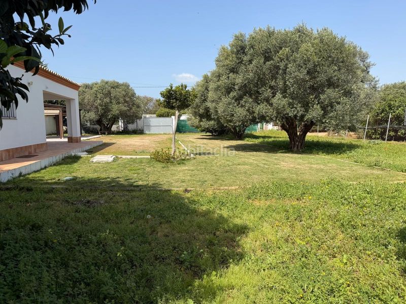 Foto aab83bfd-eeb2-4470-96bc-bf1fb4430b61. Xalet a Las Lagunas - Campano Chiclana de la Frontera