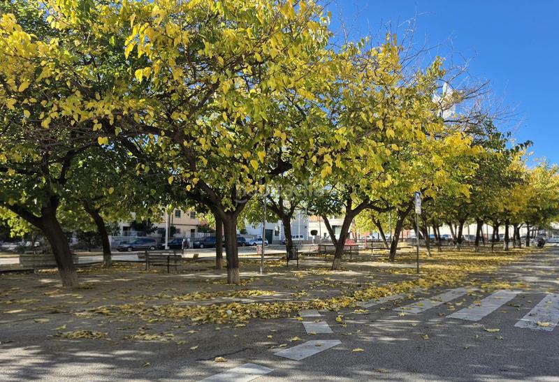 Foto 8758a638-9655-43f4-93a4-093150b53571. Maison avec parking dans Egara Terrassa