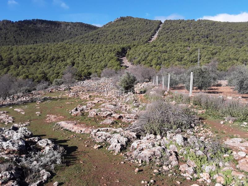 Foto 288d210f-e430-4505-ac9f-d15ac734edbb. Terrain résidentiel dans Íllora