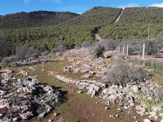 Terrain résidentiel à Íllora. Se vende parcela rustica