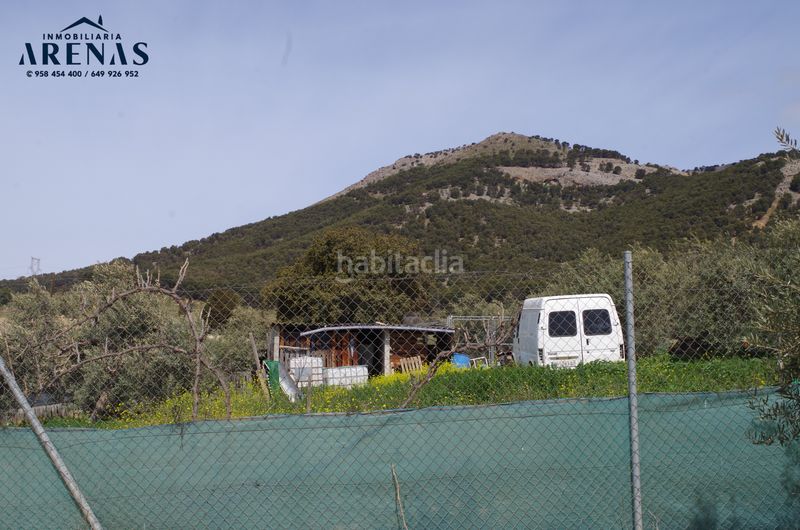 Foto 00efcdab-a341-4306-be10-7c507074cf25. Terreny residencial a Íllora