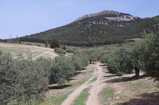 Terrain résidentiel  Carretera de íllora. Se vende finca rustica en alomartes