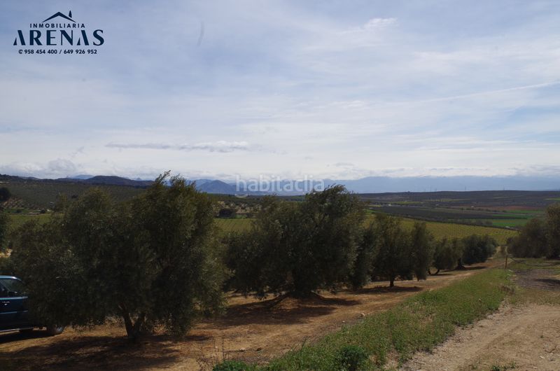 Foto ddfe0187-6b4f-4d05-987b-0030f04d81d3. Terreny residencial a Íllora