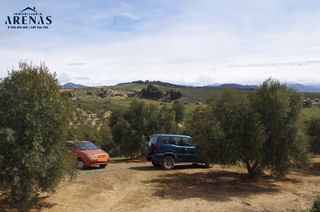 Terreny residencial a Íllora. Se vende finca de olivos en alomartes