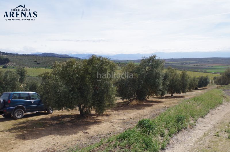 Foto c61b32af-60db-49ab-9fde-5d795e80724a. Terreny residencial a Íllora