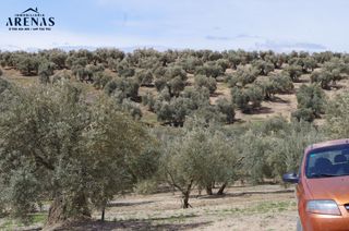 Terreny residencial a Íllora. Se vende finca rustica en alomartes