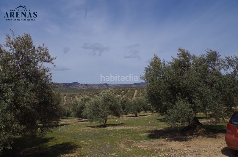 Foto a53863f4-6611-47d8-bb0c-b4cead055860. Terreny residencial a Íllora