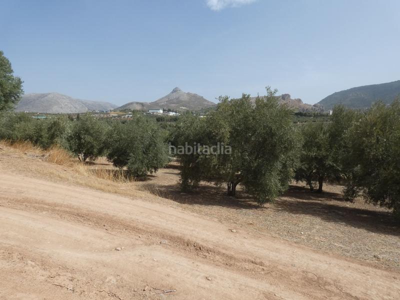 Foto 099d1ad9-f517-424d-80f3-cb75cbd5219e. Rural plot in Cogollos de la Vega