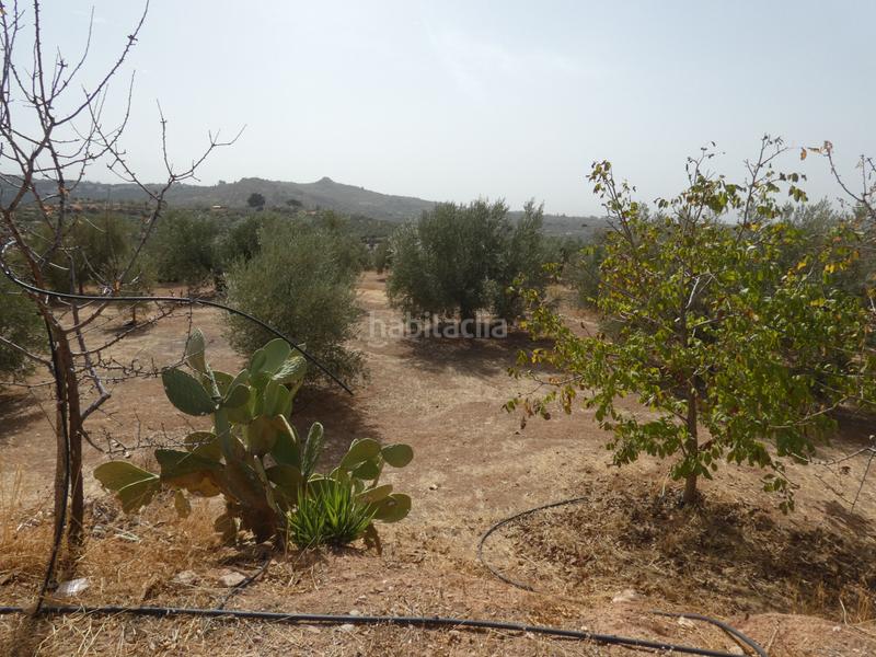 Foto 2ea934b1-54fe-4d96-9459-152f1e2c8d66. Rural plot in Cogollos de la Vega