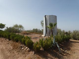 Finca rústica a Cogollos de la Vega. Finca de olivar adulto con agua propia en cogollos vega