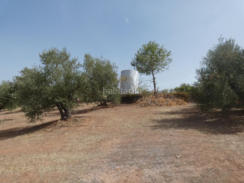 Foto 61a75adc-3a0c-4696-a4a2-d8007d8ab22e. Rural plot in Cogollos de la Vega