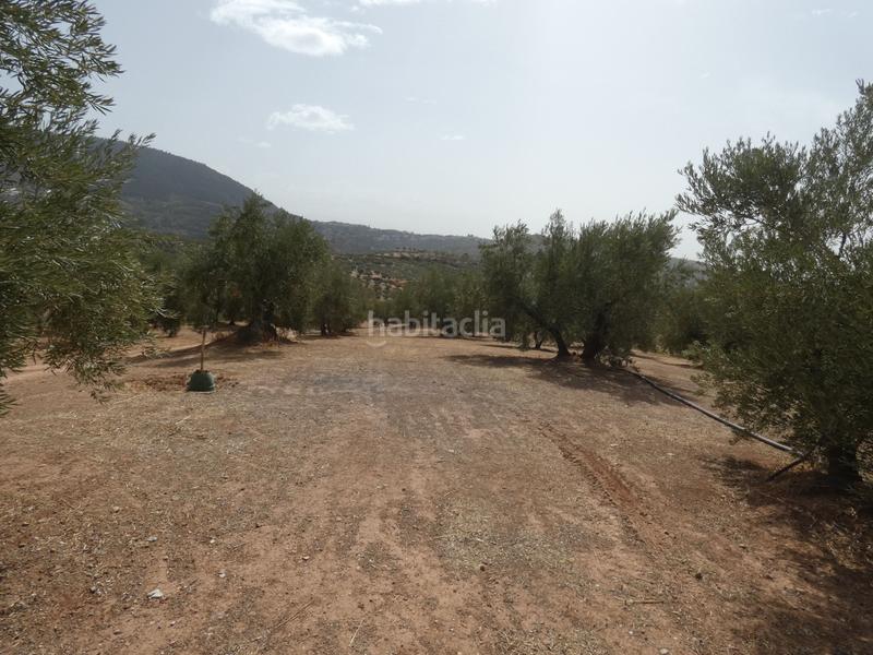 Foto 75230801-2d7a-465e-8c84-2f58c9411b4a. Rural plot in Cogollos de la Vega