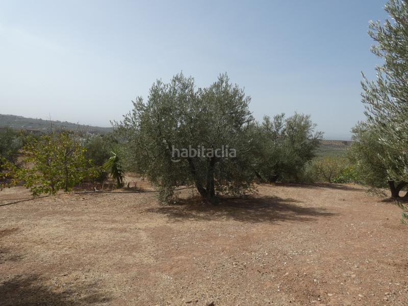 Foto 76e94acf-3539-4fae-b5b7-1120740fb567. Rural plot in Cogollos de la Vega