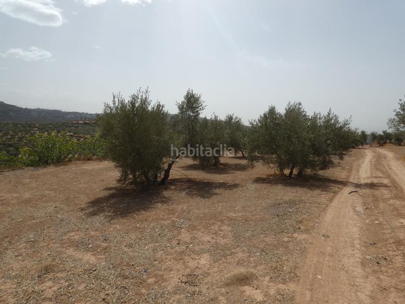 Foto 7705041f-1531-4b83-b7df-4c510447a9ee. Rural plot in Cogollos de la Vega