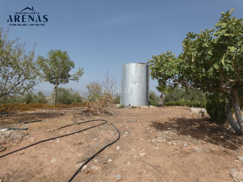 Foto 8734302e-9213-4c51-9886-db452a5a1277. Finca rústica a Cogollos de la Vega