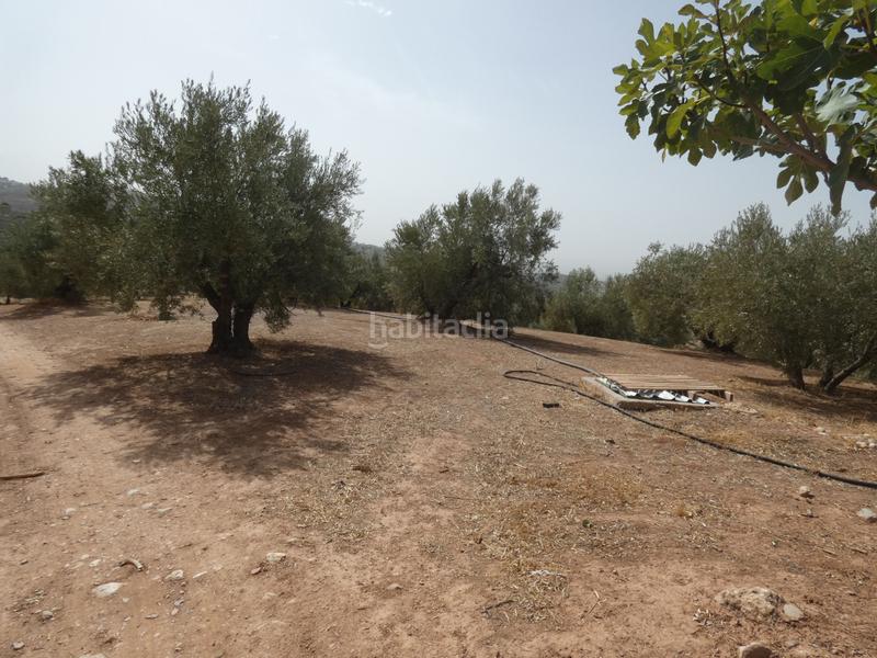 Foto 87828918-9d6c-4061-9184-5a000990b535. Rural plot in Cogollos de la Vega