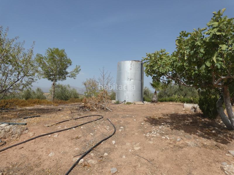 Foto cda9b97a-b07d-454f-b01e-274422cee3d3. Rural plot in Cogollos de la Vega