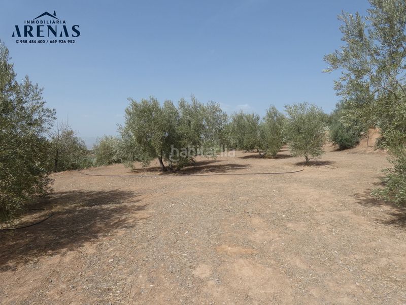 Foto d92c885c-90bd-47de-ad80-c4182086c365. Finca rústica a Cogollos de la Vega
