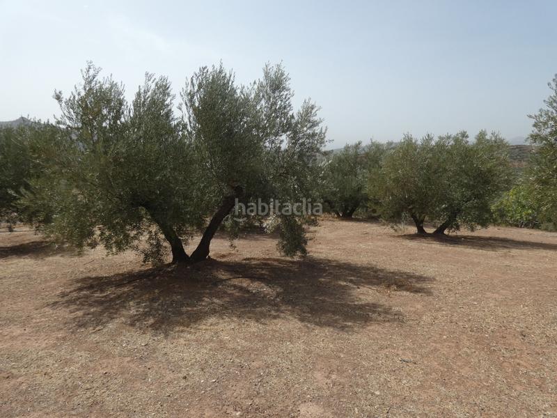 Foto e81e7c58-c03d-490a-b02e-a3e0465055e4. Rural plot in Cogollos de la Vega