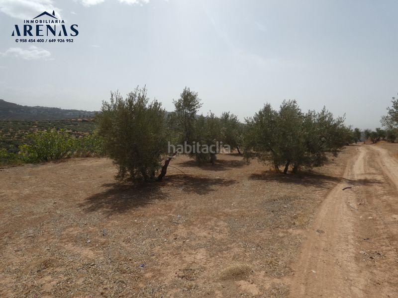 Foto f45a2e4d-867c-417d-9a24-6638c1e9d185. Finca rústica a Cogollos de la Vega