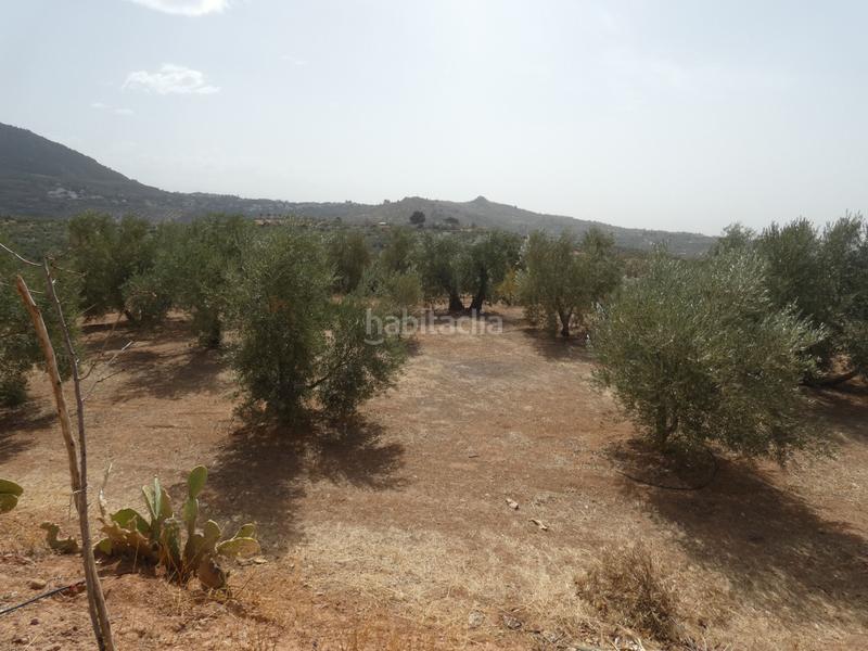 Foto f4aa6263-1c99-4d29-84fa-16b61df8f129. Rural plot in Cogollos de la Vega