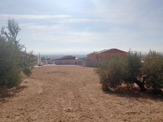 Terrain résidentiel à Pinos Puente. Solares urbanos a la venta en la calle antonio machado de la loc