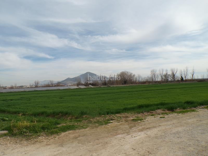 Foto 10f2044e-0450-4ffe-a8c8-85dee83563ce. Propriété dans calle antonio gálvez 5 dans Pinos Puente